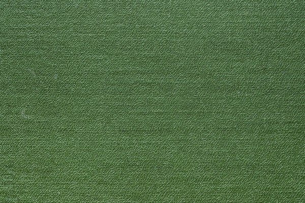 Green abstract texture for background. Close-up detail macro photography view of texture decoration