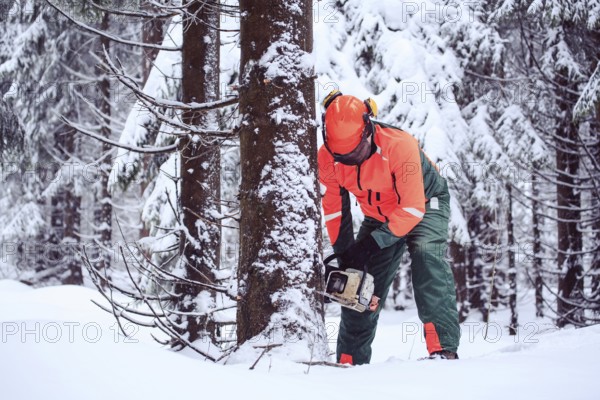 A woodcutter at work in the winter forest