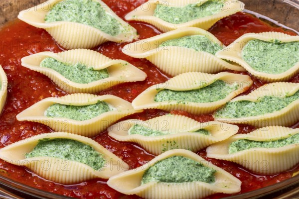 Italian conchiglino pasta filled with spinach
