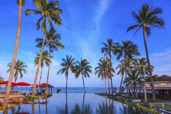 Pool surrounded by palm trees on the sea beach. On the edge of the pool red sun canopy. Rest of the