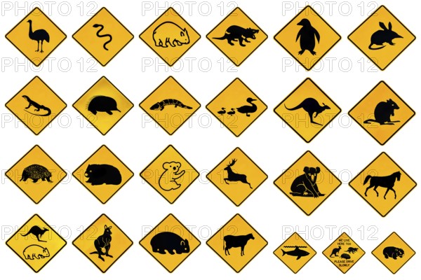Australian warning signs for wildlife animals: Emu, Echidna, Tasmanian Devil, Wombat, Kangaroo,