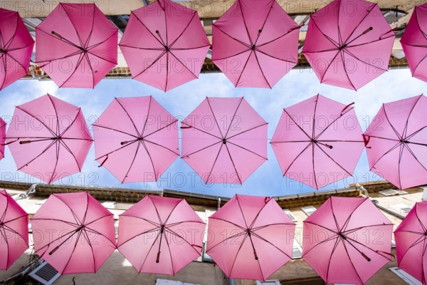 Colorful umbrellas canopy adorning a cozy european alleyway under bright daylight. Grasse, Provence