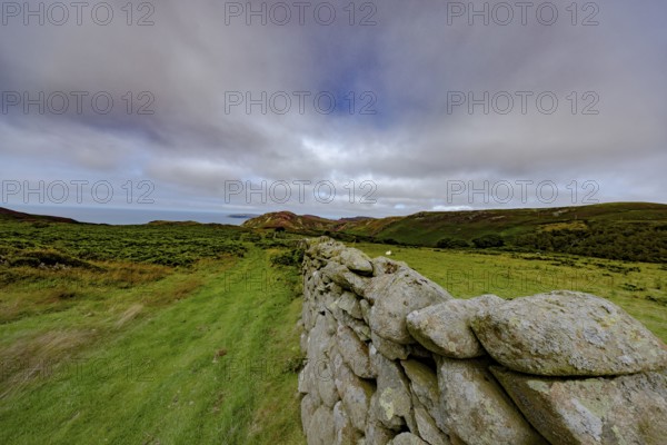 Hilly landscape with green meadows and stone wall, dry stone wall on the edge of Snowdonia National
