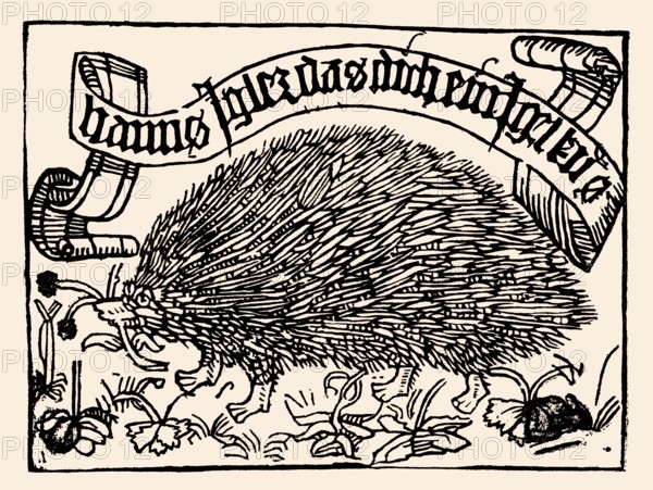Bookplate of Johannes Knabensperg, called Igler, wood engraving, 1450