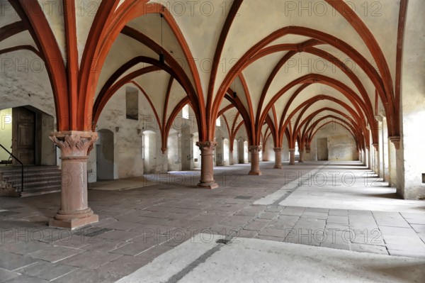 Eberbach Monastery, founded in 1136, Eltville am Rhein, Rheingau, Hesse, Germany, Large Gothic room