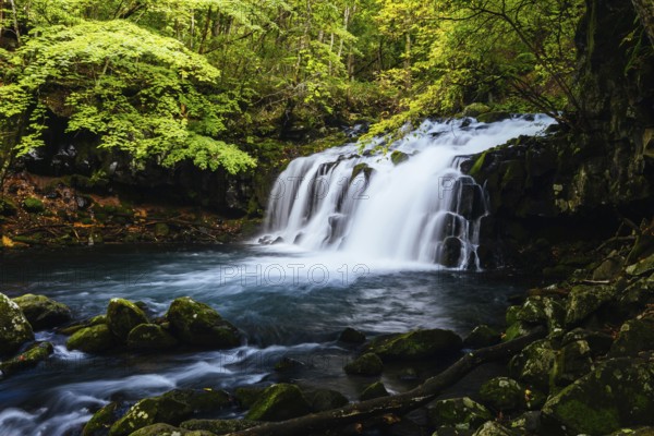 The magnificent Tateshina Otaki Falls on the famous Venus Line road, famous as a scenic driving