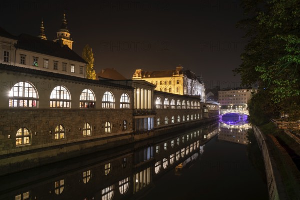 Iconic building of the central market in Ljubljana illuminated at night, the bridge of Preseren