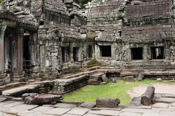 Buddhist temple buildings, jungle temples, mystical, Ta Prohm, Buddhist temple complex, UNESCO
