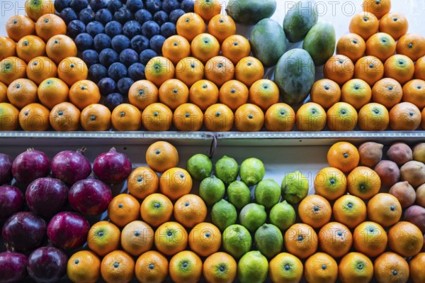 Beautifully arranged citrus fruits at a sales stand