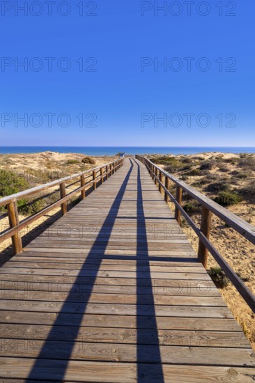 El Carabassi beach dunes in Elx Elche of Alicante in Spain at Costa Blanca also Carabasi
