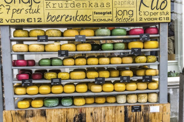 Shop for cheese in the Netherlands with a lot of different round cheeses in different sizes and