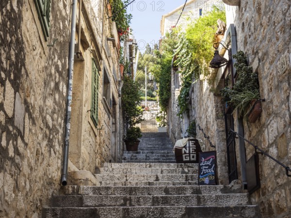 Stone steps, narrow alley in the old town centre, town of Hvar, island of Hvar, Dalmatia, Croatia,