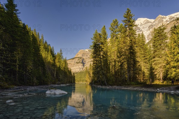 Beautiful autumn landscape scene in mountain in background in Jasper National Park west Canada with