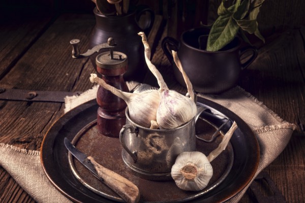 Garlic