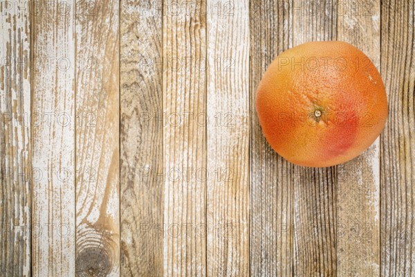 A single red grapefruit on a grunge white painted wood background with a copy space