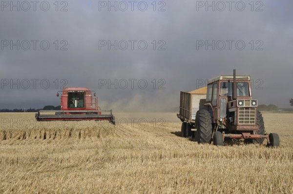 TIMARU, NEW ZEALAND, CIRCA FEBRUARY 2010: Farmers harvest a crop of wheat, South Canterbury, New