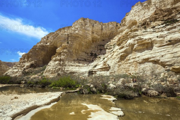 The walls of the gorge are corroded by caves. Start route. Israel. The ravine is formed by the