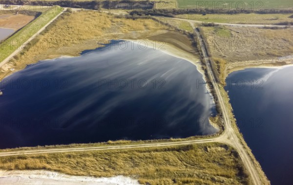 Offstein sewage ponds, ponds of a sugar factory in Rhineland-Palatinate, bird sanctuary, Offstein
