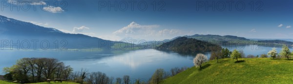 beautiful panorama landscape with green fields and blossoming flowers and trees and mountains in