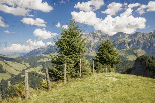 Meadow with trees, mountains in the background and clouds in the sky, Spicher with view to the