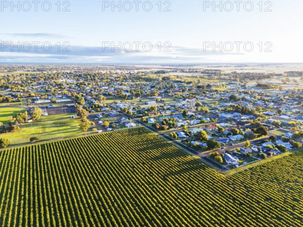Autumn sunset around the rural country town of Penola in the Coonawarra wine region in South