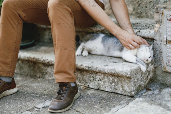 A man in brown trousers sits on the stone steps in the old town and strokes a lying gray cat,