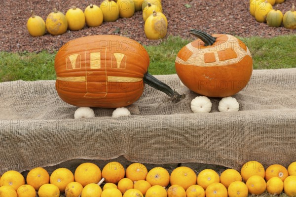 Pumpkins artistically decorated as a small train with orange and beige painting, borken,