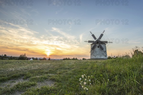 Windmill with wooden sails in a landscape with fields. Meadows and flowers appear in the sunset.