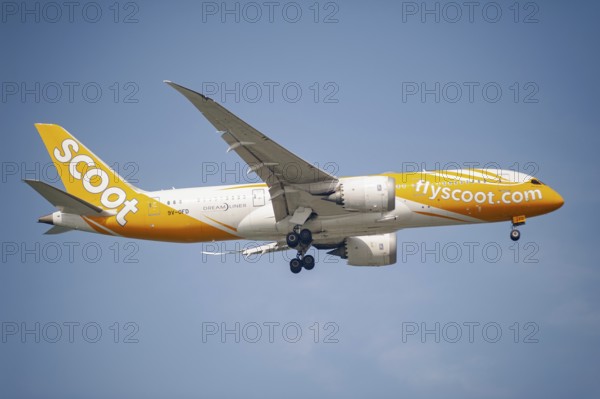 30.07.2023, Singapore, Republic of Singapore, Asia, A Scoot Airlines passenger aircraft of the type