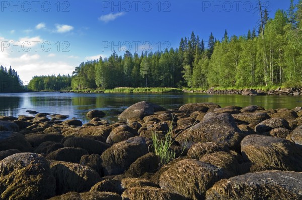 Russia, Karelia, the river Chirka-Kem. These stones are usually covered by water, but this summer
