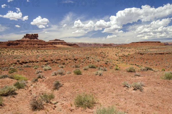 Scenic desert landscape with red mesas in the Valley of the Gods in Utah, United States, North