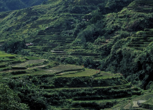 Philippines: Riceterraces of Banaue - Unesco World Heritage