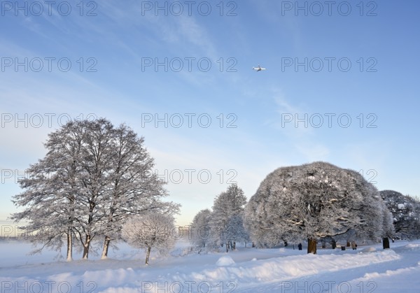 Beautiful winter landscape in the park on a sunny day, airplane in the blue sky, trees and bushes