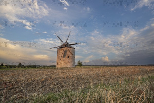 Windmill with wooden sails in a landscape with fields. Meadows and flowers appear in the sunset.