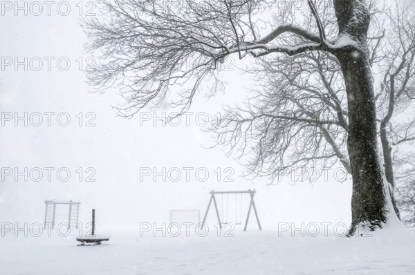 White winter landscape with a big leafless tree and an empty playground covered by snow, while