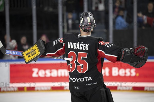 LanxessArena, Cologne, North Rhine-Westphalia, Julius Hudacek (Cologne Sharks, #35), PENNY DEL,