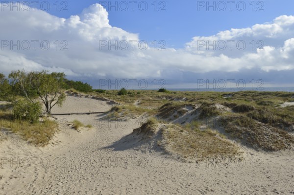 Sandhammaren is a Swedish coastal strip on the Baltic Sea. It is the southeasternmost point of the