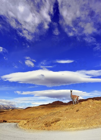 Journey to the End of the World. The incomparable National Park Torres del Paine in southern Chile.