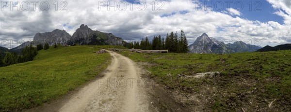 Forest path to Mödlinger Hütte, behind Admonter Kaibling, Admonter Reichenstein, mountain peak in