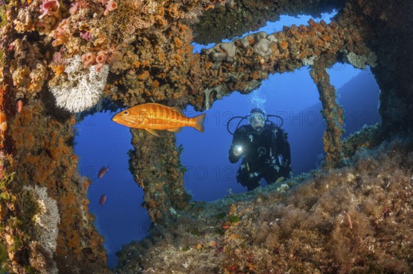 Scuba Diver at Vassilios Wreck, Vis Island, Mediterranean Sea, Croatia | Scuba Diver at Vassilios