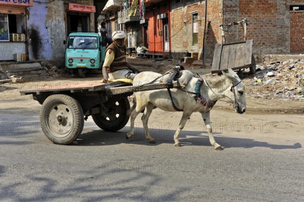 Fort Amber, Amber, near Jaipur, Rajasthan, North India, India, Asia, Scene of an everyday street