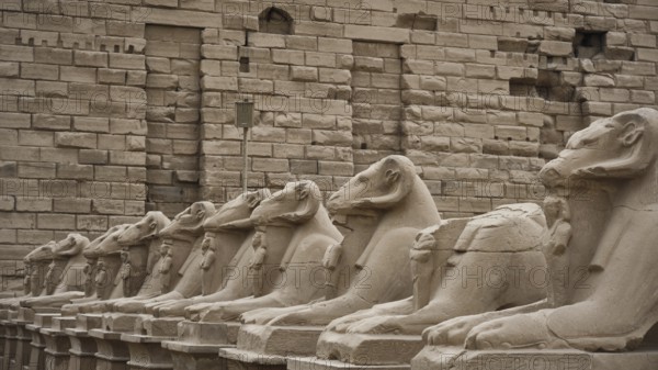 Avenue of ram-headed sphinxes. The Karnak Temple Complex, Luxor, Upper Egypt. UNESCO World Heritage