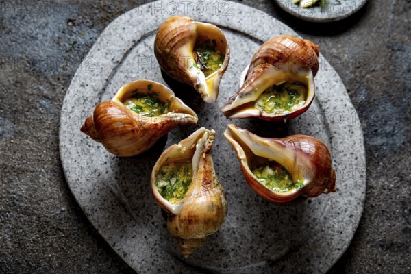 Food, Food, Chilean giant snails with butter, garlic and herbs on gray stone plate. escargot from