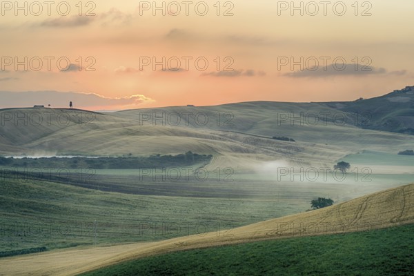 Crete Senesi Crete Senesi are literally Siennese clays and the distinctive grey colouration of the