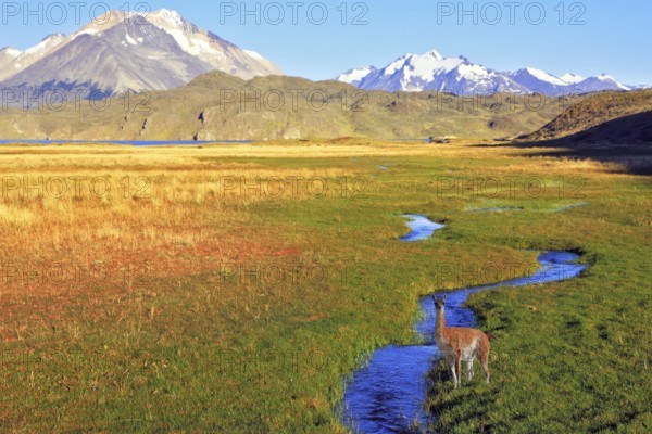 The solitary Estancia in the national park Perito Moreno in Argentina.The huge valley surrounded by