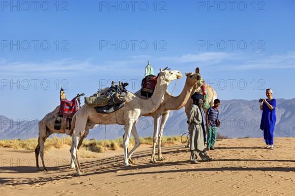 Group of camels with people in a sandy desert landscape with mountains in the background, Tuareg