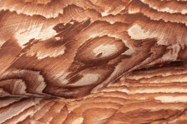 Multi-colored sandstone rock and mineral layers in ancient tombs of Petra, Jordan. Pattern,