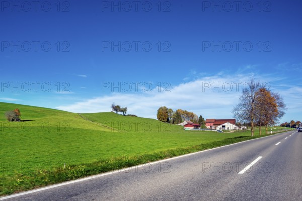 Autumn country road, meadows, trees and farm, blue sky near Leutkirch, Allgäu, Bavaria, Germany,
