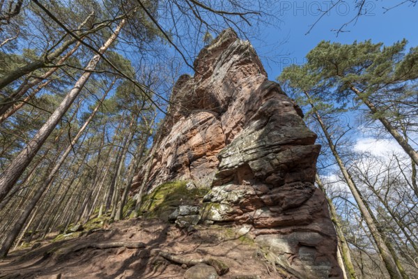 Geiersteinfelsen, Geierstein, Palatinate Forest, Bruchweiler-Bärenbach, Rhineland-Palatinate,