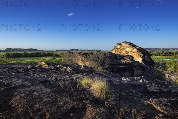 View of the Nadab Floodplains from Nadab Lookout, Ubirr, Kakadu National Park, East Alligator
